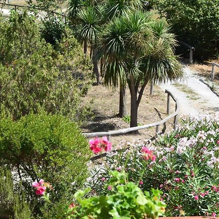 شقة Fondo Santa Lucia SantʼAgata sui Due Golfi المظهر الخارجي الصورة