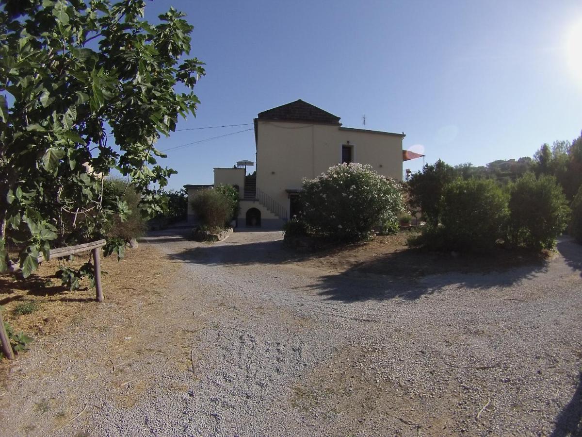 شقة Fondo Santa Lucia SantʼAgata sui Due Golfi المظهر الخارجي الصورة
